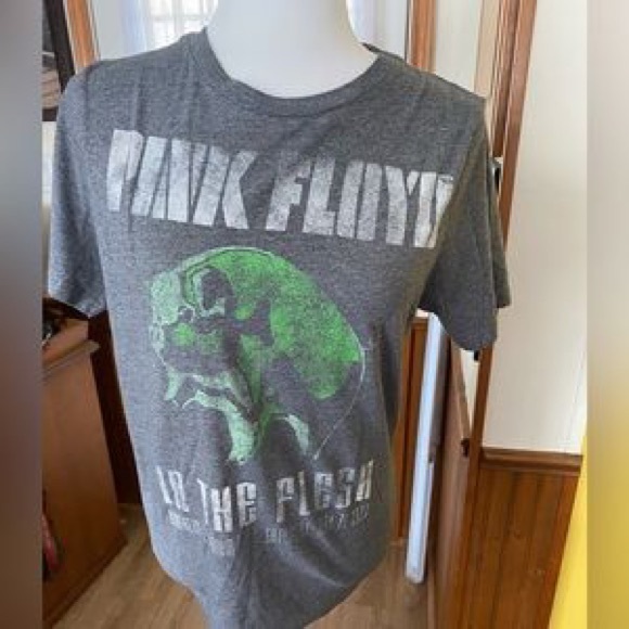 Aeropostale Other - Aeropostale Gray Pink Floyd Graphic Tee with Green Skull